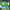 Green Chroma Studio Setup: Professional Video Production and Virtual Background Solution